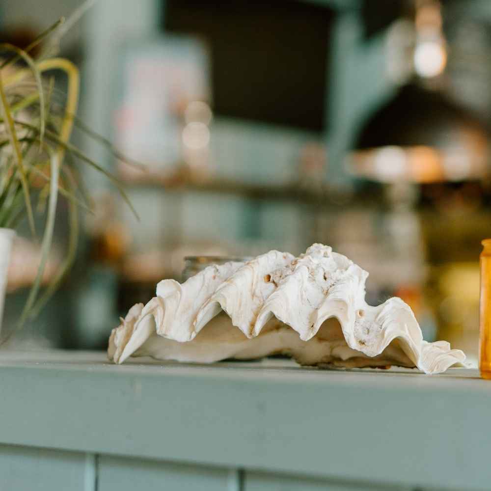 Arbie's Beachhouse (15)